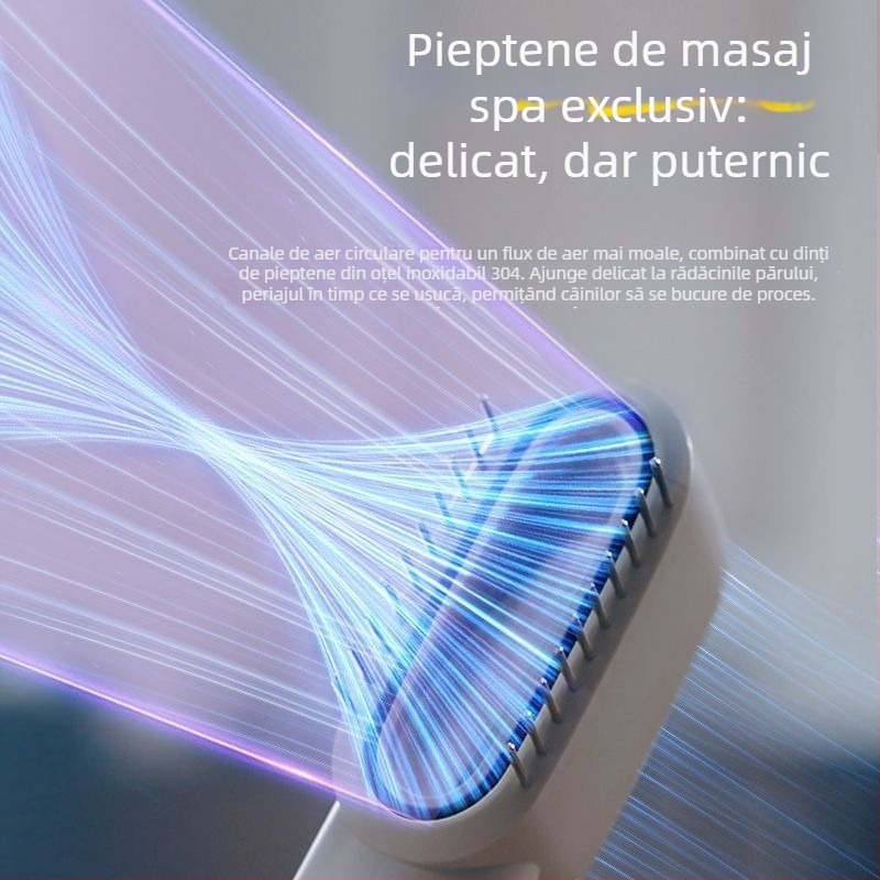 Uscător pentru animale de companie – zgomot redus, uscare rapidă, ioni negativi, 220V, sub 1000W