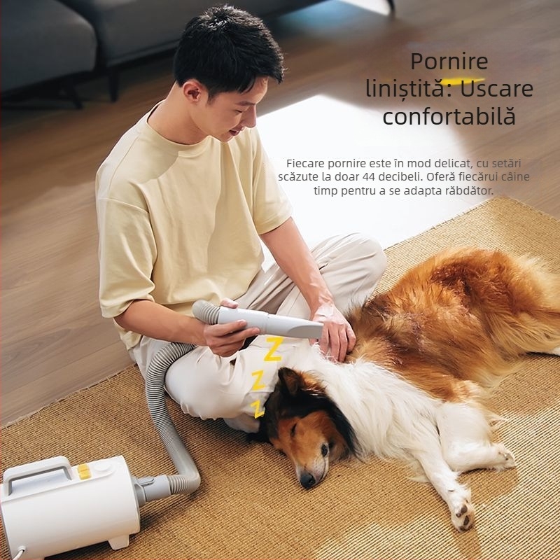 Uscător pentru animale de companie – zgomot redus, uscare rapidă, ioni negativi, 220V, sub 1000W