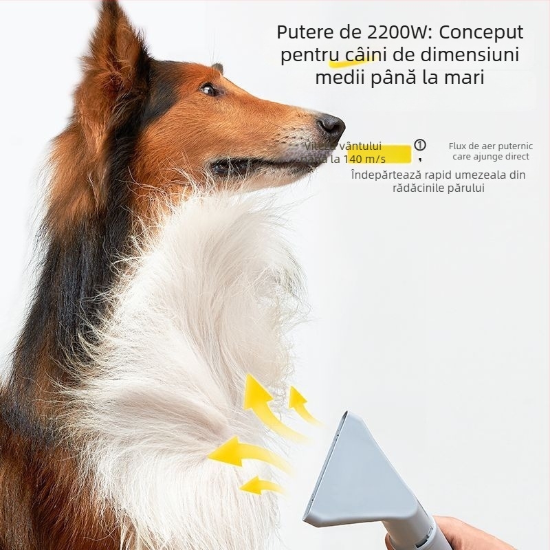 Uscător pentru animale de companie – zgomot redus, uscare rapidă, ioni negativi, 220V, sub 1000W