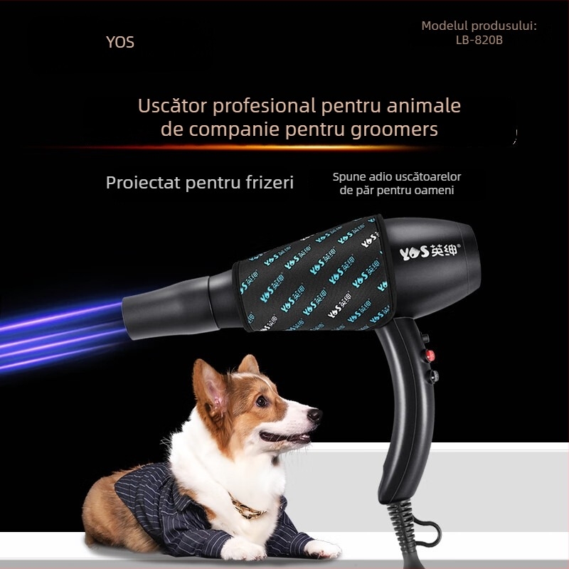 Uscător all-in-one pentru baie și uscare a animalelor de companie (câini și pisici) | sub 1000W, motor AC, 220V, sârmă de încălzire spirală, protecție împotriva supraîncălzirii