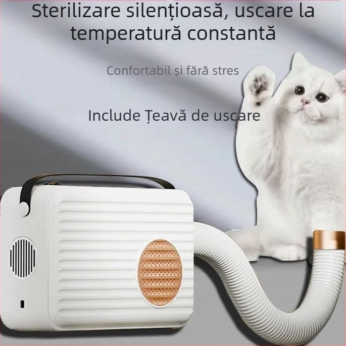 Uscător pentru pisici – sub 1000W, tensiune ≤36V