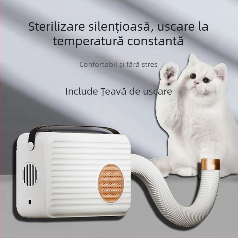 Uscător pentru pisici – sub 1000W, tensiune ≤36V