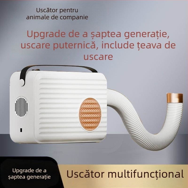 Uscător pentru pisici – sub 1000W, tensiune ≤36V