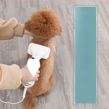 Uscător pentru animale de companie – all-in-one pentru baie și uscare rapidă, motor DC, 2000W+, element de încălzire în spirala, protecție la supraincălzire, tensiune ≤36V