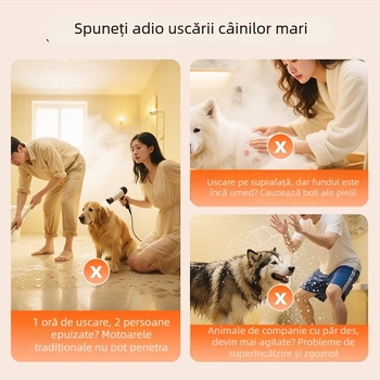 Suflator de apă fără perii, cu tracțiune pe patru roți PD-8900, 2000W+, 220V