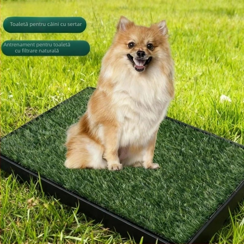 Toaletă pentru câini, tip sertar, cu covoraș de iarbă, din plastic (Brand: Nothing; Material: Plastic; Import: Nu; Brand privat autorizat: Nu)