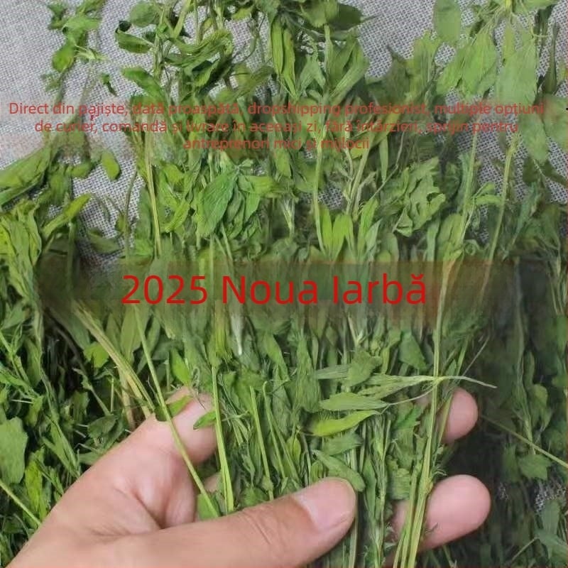 Lucernă uscată pentru animale mici – cutie 1 kg, brand Yilu pets, cod produs 027, hrană uscată, lucernă