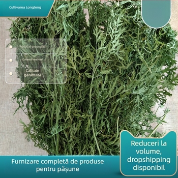 Hrană uscată pentru iepuri și porcușori de Guineea — Longteng Carrot Tassel și Carrot Leaf Hay