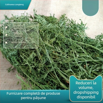 Hrană uscată pentru iepuri și porcușori de Guineea — Longteng Carrot Tassel și Carrot Leaf Hay