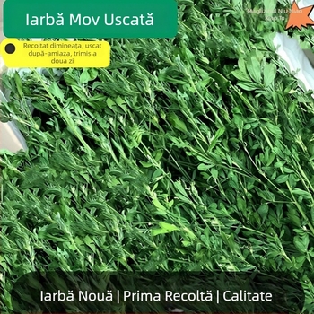 Lucernă uscată pentru animale de companie: pentru iepuri tineri, chinchilla și cobai