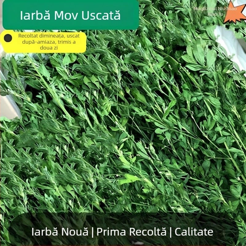 Lucernă uscată pentru animale de companie: pentru iepuri tineri, chinchilla și cobai