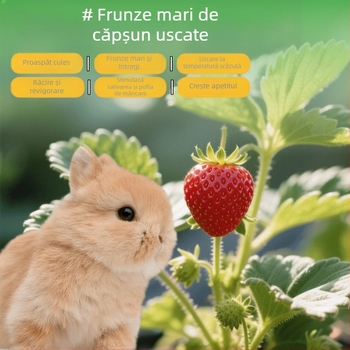 Hrană uscată pentru iepuri, cinchile și purcei de Guineea cu frunze uscate de căpșune și lăstari de căpșune — uz general; 50 g; origine Henan