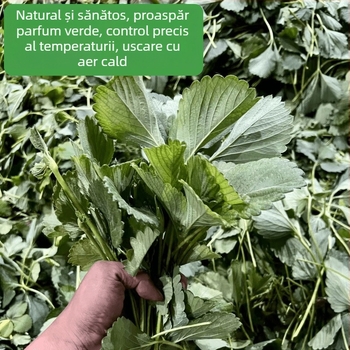 Hrană uscată pentru iepuri, cinchile și purcei de Guineea cu frunze uscate de căpșune și lăstari de căpșune — uz general; 50 g; origine Henan