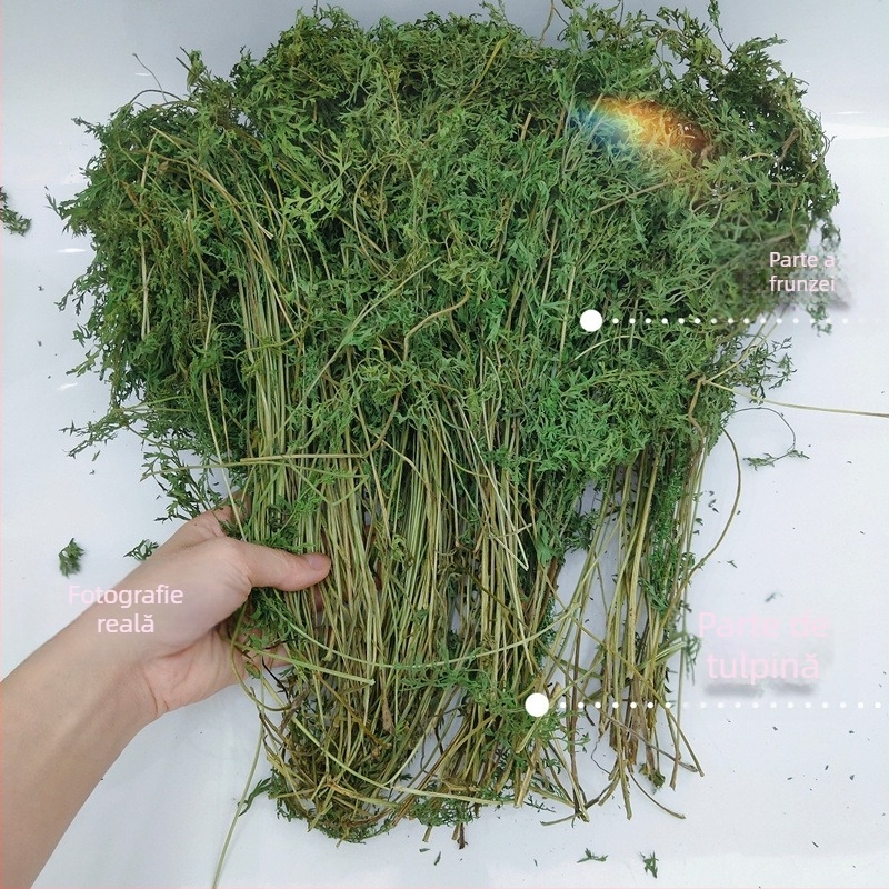 Vârfuri uscate de morcov – gustare dentară pentru iepuri, chinchilla și porcușor de Guineea, cu tulpini și frunze (Material: Alt; Origine: Vezi detalii; Import: Nu; Brand: Alt)