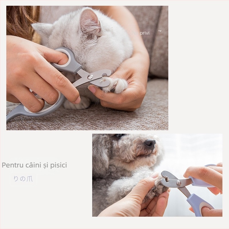 Clește pentru unghii de pisică cu fișier inclus | Nerve Cat | Pachet de 100 bucăți | Mărci private autorizate