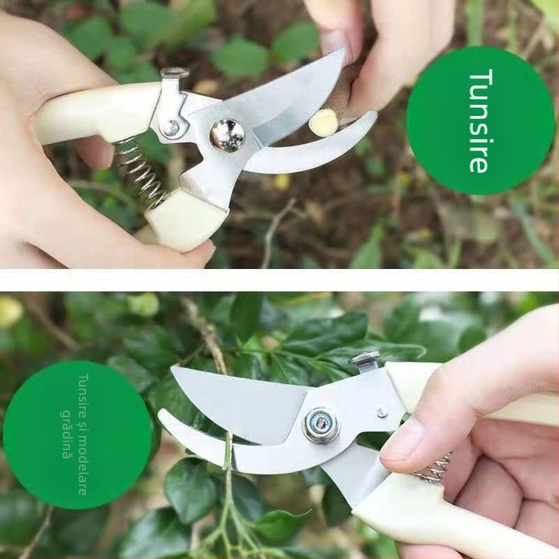 Foarfă de tăiat crengi · Oțel inoxidabil · Importat: Nu · Brand: Altul (Material: Oțel inoxidabil; Tip: Foarfă de tăiat crengi; Importat: Nu; Brand: Altul)