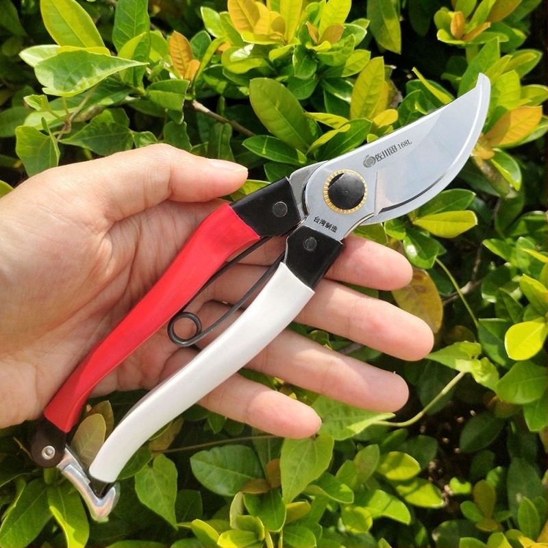 Foarfece de grădină - Sasaki Field, lamă placată crom dur