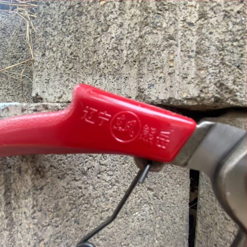 Foarfece de grădină Dongfeng – tăiere manuală pentru bonsai și ramuri cu flori