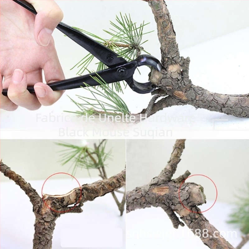 Unelte Bonsai | Foarfece pentru Bonsai / Tăiere | Foarfece de grădină | Brand: Black Mouse