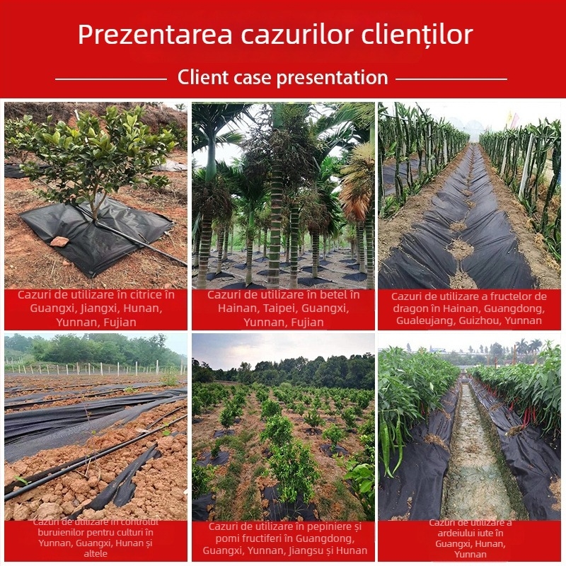 Material de control al buruienilor pentru livezi - PP/PE, set de grădinărit din trei părți