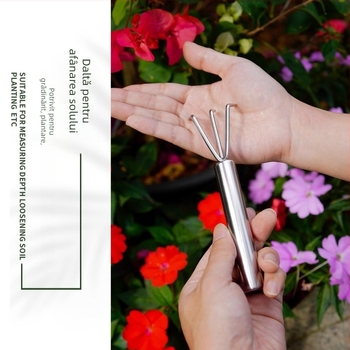 Mini set de instrumente de grădină: lopată și greblă mică, oțel inoxidabil, pentru uz casnic (Material: Oțel inoxidabil; Utilizare: Casnic; Include: lopată + greblă mică)