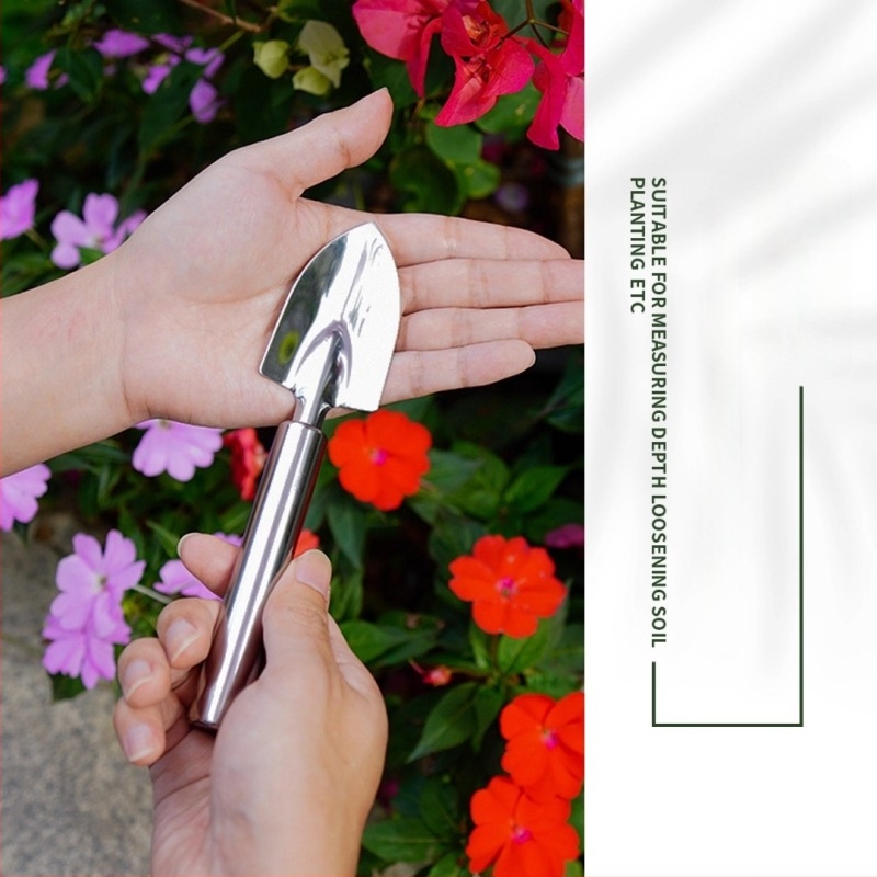 Mini set de instrumente de grădină: lopată și greblă mică, oțel inoxidabil, pentru uz casnic (Material: Oțel inoxidabil; Utilizare: Casnic; Include: lopată + greblă mică)