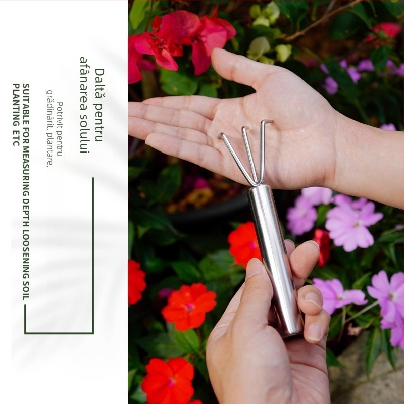 Mini set de instrumente de grădină: lopată și greblă mică, oțel inoxidabil, pentru uz casnic (Material: Oțel inoxidabil; Utilizare: Casnic; Include: lopată + greblă mică)