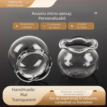 Acvariu din sticlă cu peisaj micro, recipient ecologic simplu pentru casă și birou, imprimare de logo posibilă