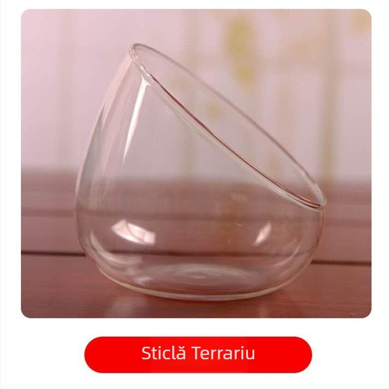 Vas de sticlă pentru micro-peisaj cu mușchi și suculente — sticlă borosilicată înaltă; Brand Xuanyi Glass; Import: Nu; Afișare pe birou; Nu este cadou