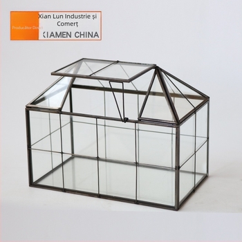 Vas geometric din sticlă pentru suculente, décor micro-peisaj, suprafață cu intarsie, ambalare din carton, imprimare logo disponibil