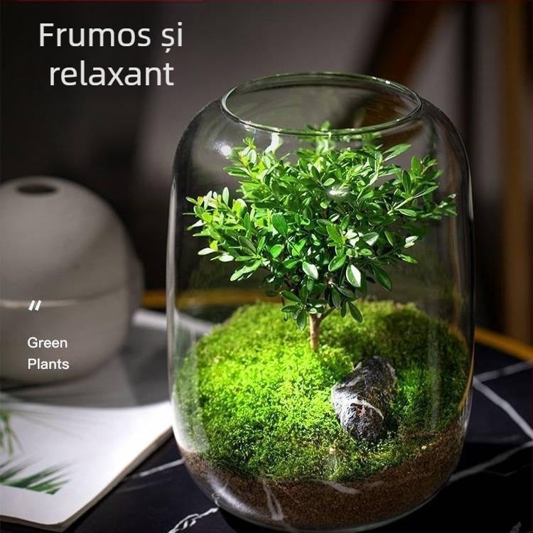 Sticlă DIY Peisaj Ecologic — sticlă borosilicat de înaltă calitate; ambalaj carton; așezare pe suprafață; nu este cadou; nu este importată