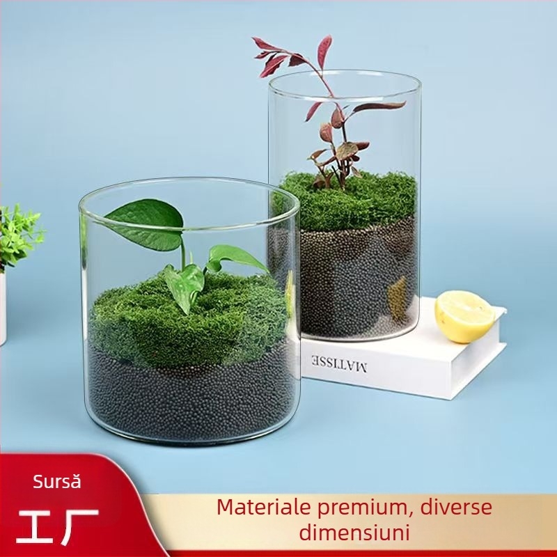 Sticlă de peisaj miniatural din sticlă borosilicată pentru hidroponie și plante acvatice, cod D-01