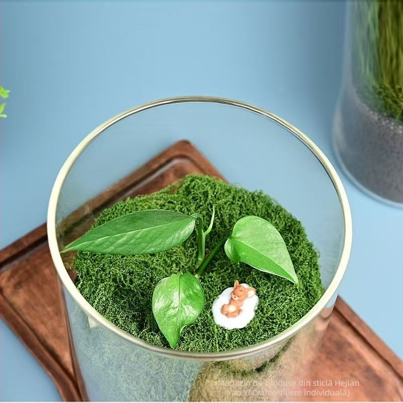 Sticlă de peisaj miniatural din sticlă borosilicată pentru hidroponie și plante acvatice, cod D-01