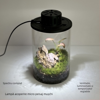 Lumină pentru mușchi de plante - alimentare USB, sticlă eco, proiector pentru micro peisaj pentru acvarii și plante acvatice