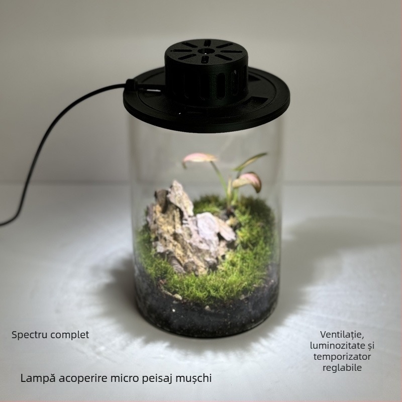 Lumină pentru mușchi de plante - alimentare USB, sticlă eco, proiector pentru micro peisaj pentru acvarii și plante acvatice