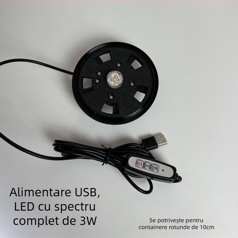 Lumină pentru mușchi de plante - alimentare USB, sticlă eco, proiector pentru micro peisaj pentru acvarii și plante acvatice