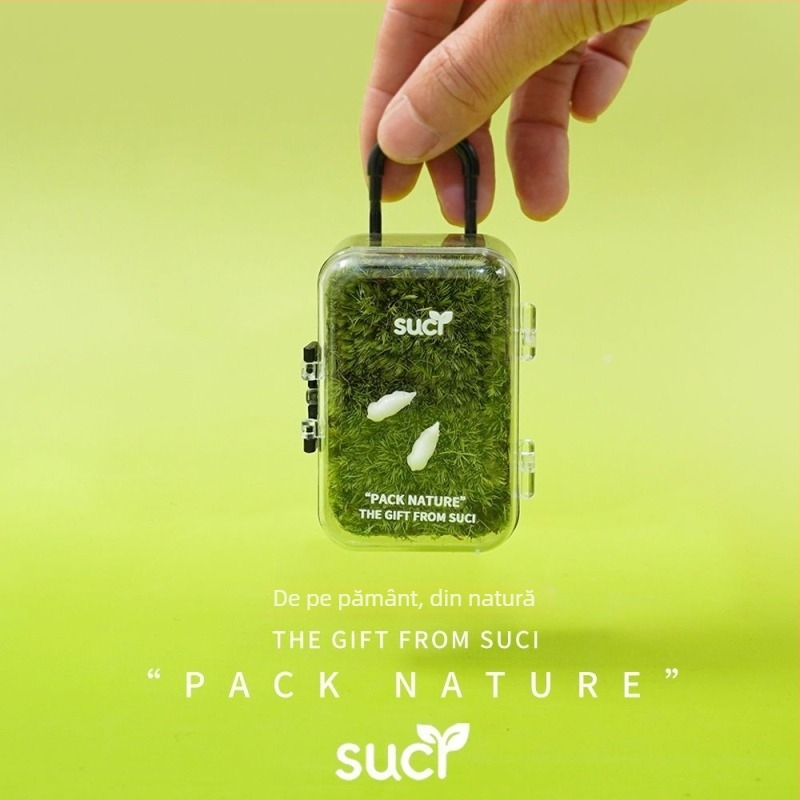 Micro-peisaj cu mușchi în sticluță ecologică – Plantă verde, ușor de întreținut, cadouri de afaceri, fără import