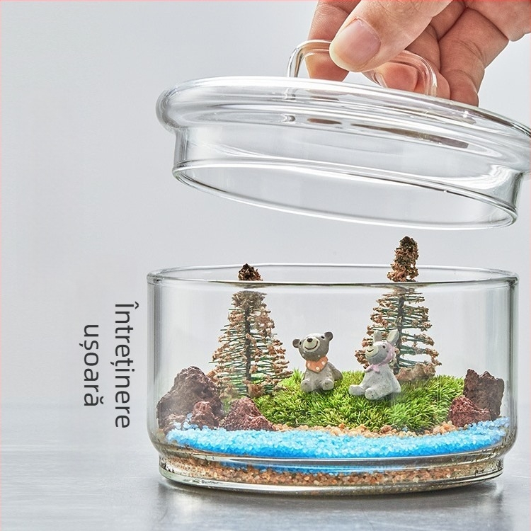 Terrariu cu mușchi viu — micro peisaj în sticlă borosilicat de înaltă calitate, decor DIY pentru interior