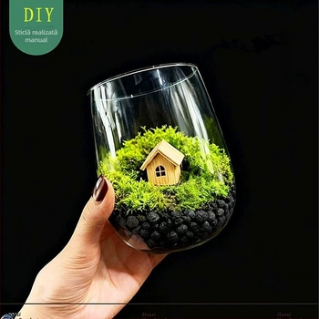 Terrarium cu mușchi și suculente – micro peisaj într-o sticlă transparentă, pentru expunere, ambalaj din carton, cadou gata