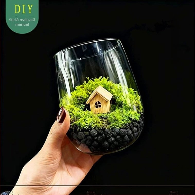 Terrarium cu mușchi și suculente – micro peisaj într-o sticlă transparentă, pentru expunere, ambalaj din carton, cadou gata