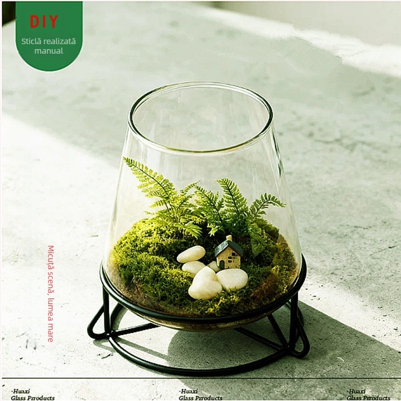 Terrarium cu mușchi și suculente – micro peisaj într-o sticlă transparentă, pentru expunere, ambalaj din carton, cadou gata