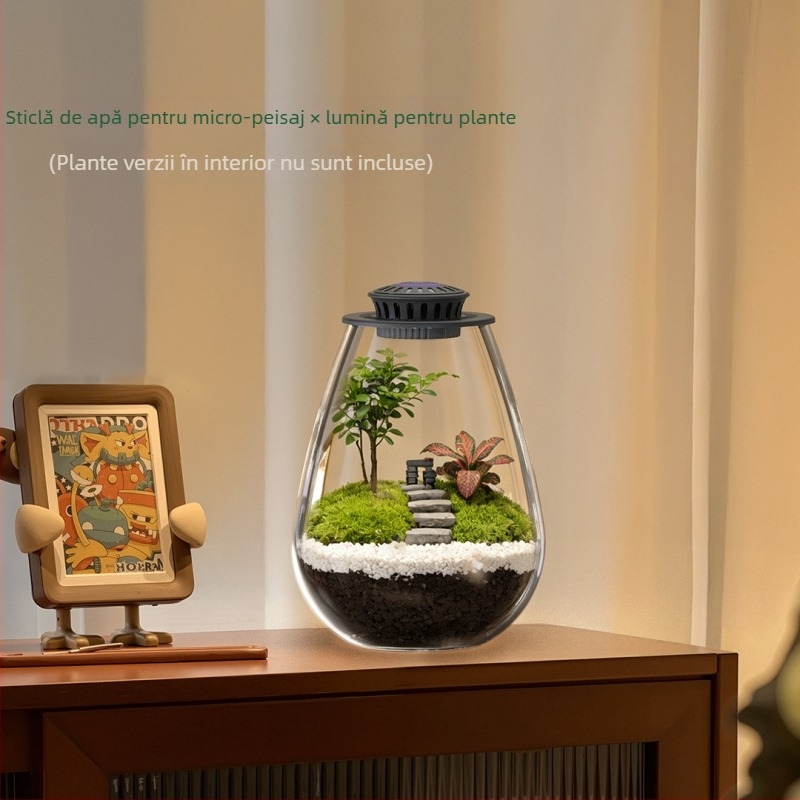 Fanong Kit Lumină pentru plante cu sticlă borosilicată în formă de picătură pentru micro peisaj ecologic