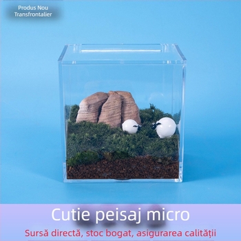 Sticluță acrilică cu peisaj mini cu mușchi — ornament de birou DIY, cadou gata de a fi oferit Hi Woof Meow