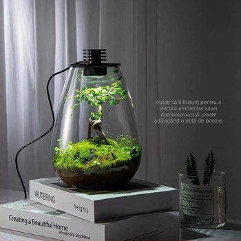 Sticlă ecologică pentru micro-peisaj cu mușchi — vază decorativă hidroponică pentru casă (Material: sticlă borosilicată înaltă; Ambalaj: carton; Cadou: potrivit; Așezare: pentru expunere)