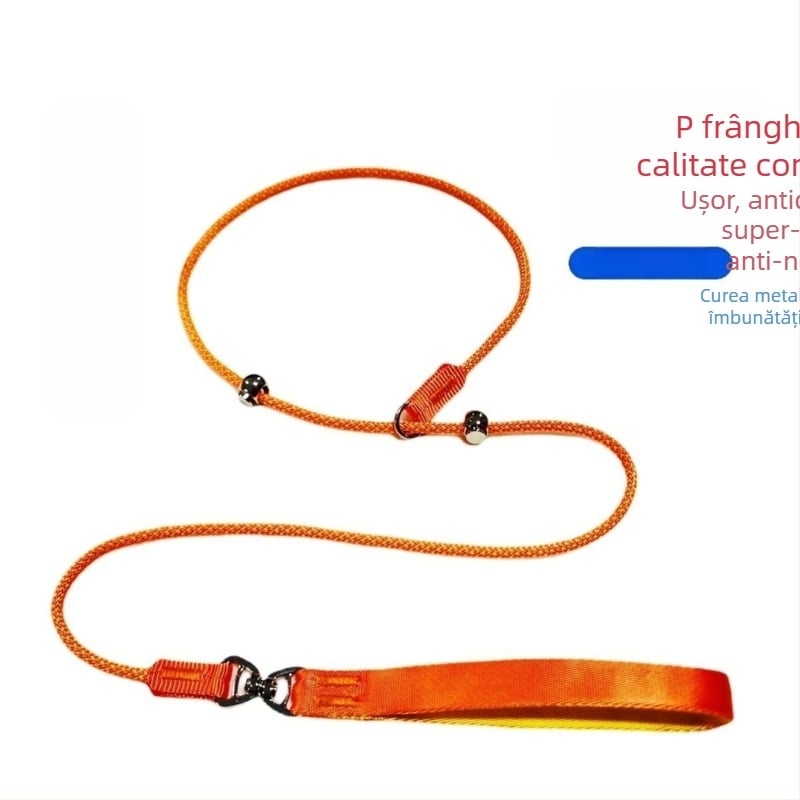 Lesă de dresaj pentru câini – universală, design anti-ingestie, din poliester, pentru toate mărimile câinilor