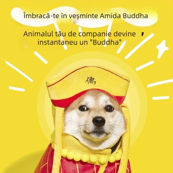 Costum pentru animale de companie: mantie cu pălărie pentru pisici și câini