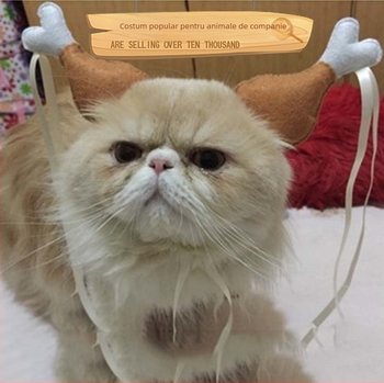 Bentită de păr în formă de picior de pui, din material nețesut – pentru nunți și petreceri, uz general