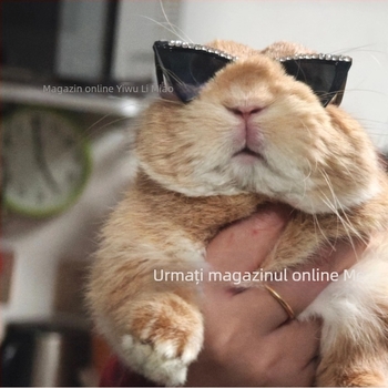 Ochelari pentru animale de companie, cu cristale în stil pisică, hip-hop, din plastic