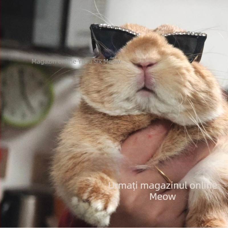 Ochelari pentru animale de companie, cu cristale în stil pisică, hip-hop, din plastic