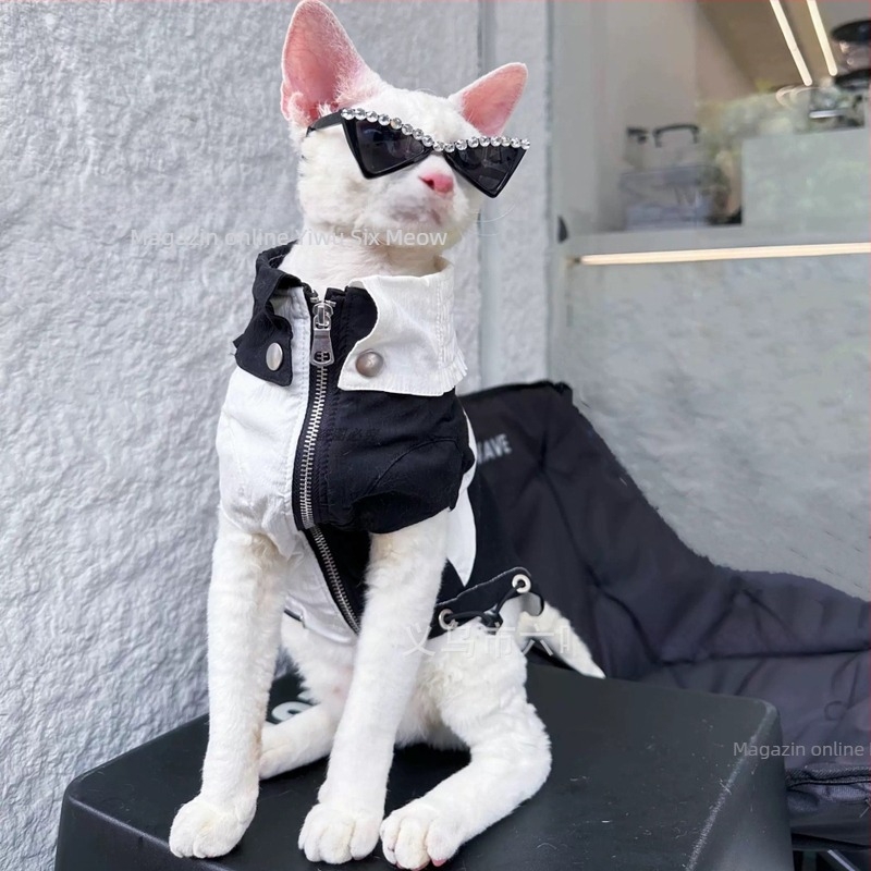 Ochelari pentru animale de companie, cu cristale în stil pisică, hip-hop, din plastic